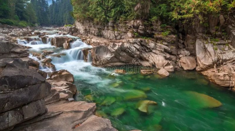 Eagle Falls, Washington: A Hidden Gem in the Pacific Northwest